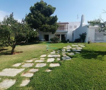 Μονοκατοικία για ενοικίαση Πολιτεία (Κηφισιά) - Photo 1