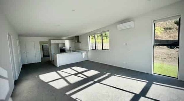 NEAR NEW LARGE AND LIGHT - Photo 1