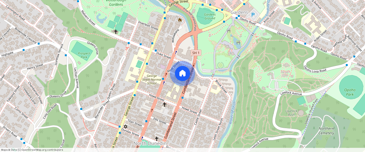 ** Mackenzie Street, North Dunedin, Dunedin City