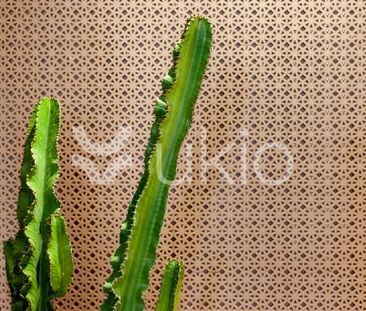 3 room luxury Apartment for rent in Barcelona, Catalonia - Photo 2