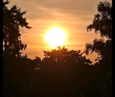 2 WG Zimmer an der TU Berlin - Photo 2