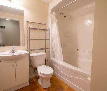 **SPACIOUS** Bachelor Apartment in Downtown St. Catharines!! - Photo 6