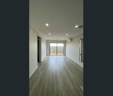 Stunning 3 Bedroom Home! - Photo 3