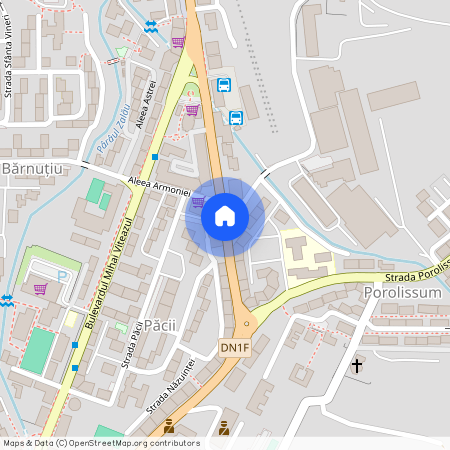 Strada Tudor Vladimirescu, Pacii, Zalau, Salaj