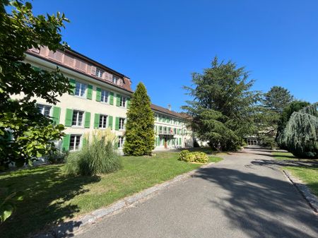 Grosse 5.5-Zimmerwohnung in Montet - Photo 4