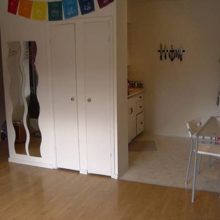 Kits big beautiful studio apartment, with wood floors,on the 2nd floor - Photo 1