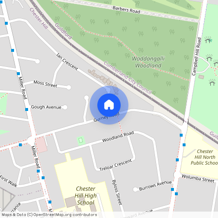 20 Gurney Road, NSW 2162, Chester Hill