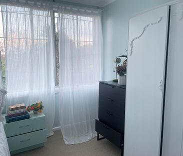 Haberfield - Photo 4