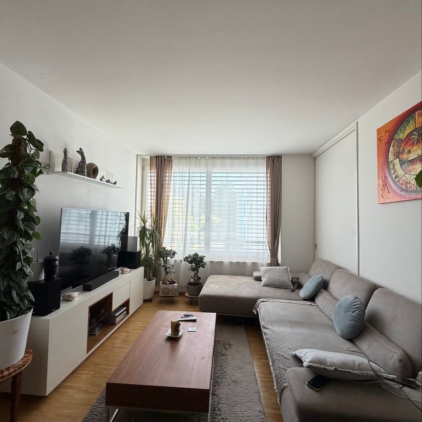 Aarau Wohnung 2.5 zum Mieten - Foto 1