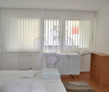2 rooms flat rent in the centre - Fotó 3