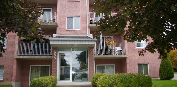 4 1/2 PETIT IMMEUBLE 2 Portes Patio - Photo 2