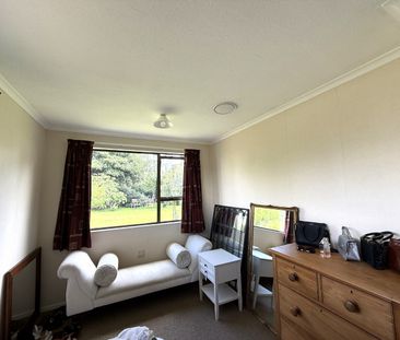 103 Maxwell RoadBlenheim - Photo 6