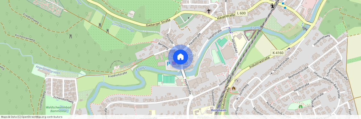 69245 Baden-Württemberg - Bammental