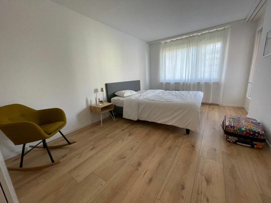 moderne 2.5 Zimmer-Wohnung zu vermieten - Photo 1