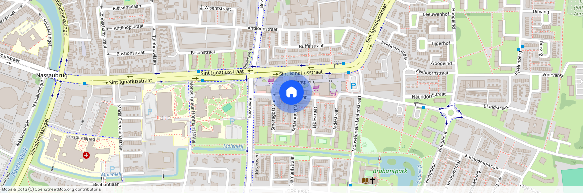 Brabantpark, 4817 JD, Robijnstraat, Breda