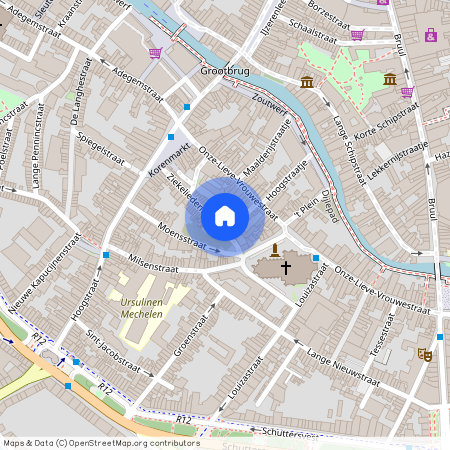 Ziekeliedenstraat, 29, 2800, Mechelen