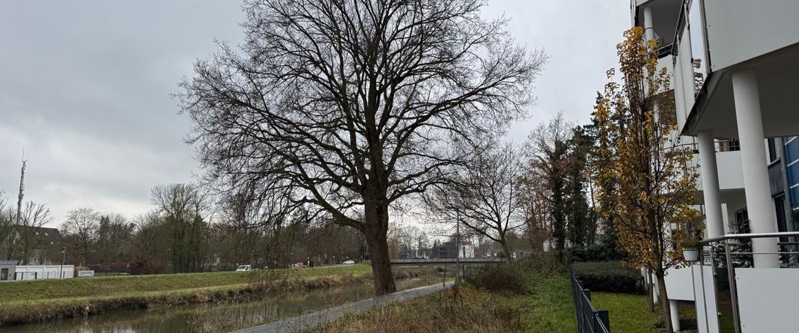 Großzügige Wohnung mit Blick an der Else - Photo 1