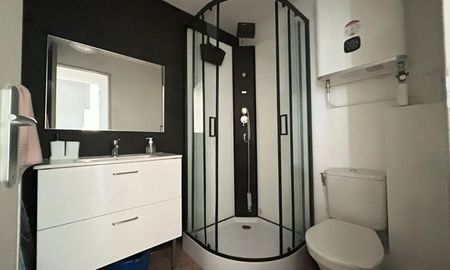 Location Appartement 1 pièce Limoges (87000) - Photo 4