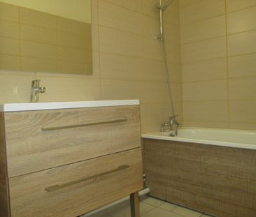 Location Appartement 3 pièces 71m² FLEURY LES AUBRAIS 45400 - Photo 6