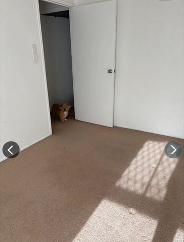 Tweed Heads South - Photo 5