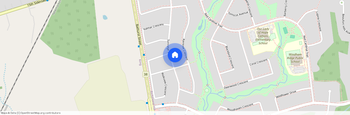 63 Sunridge Street, Richmond Hill