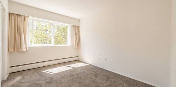 Firwood Apartments - 1 Bedroom - Available Now - Photo 2