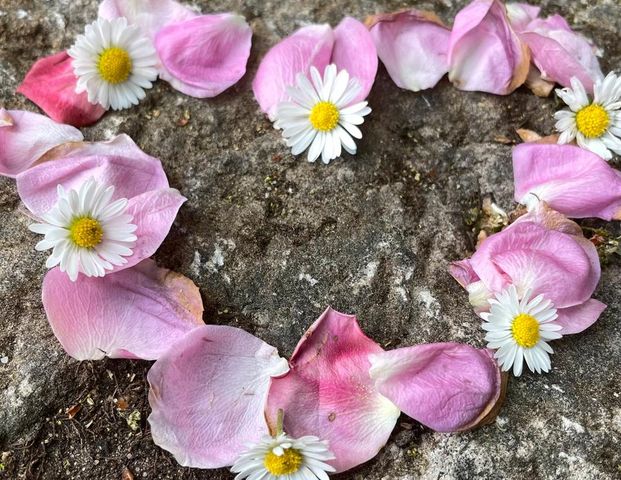 SUCHE kleine Wohnung | Zimmer in Amberg - Foto 1