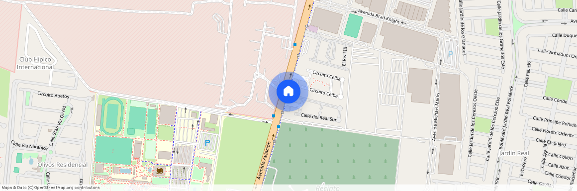 Av. Aviación, 4412 - 37, El Real II, El Real, Zapopan, Jalisco, 45138, México