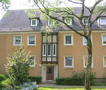 1-Zimmer-Wohnung in Gelsenkirchen Scholven - Foto 3