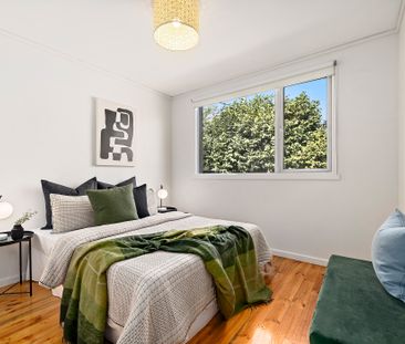 4 Karri Street, O'Connor ACT 2602 - House For Rent | Domain - Photo 2