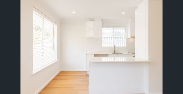 FULLY RENOVATED...CHOICE OF 2 PROPERTIES - Photo 1