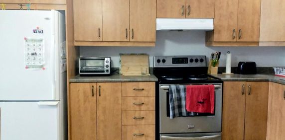 Logement 3 1/2 à Rivière-Rouge - Photo 2