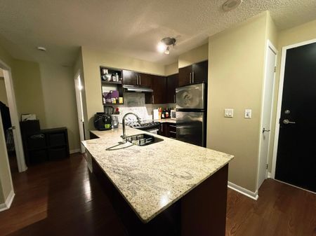 For Lease - 96 Saint Patrick Street Unit# 302, Toronto, Ontario - Photo 5