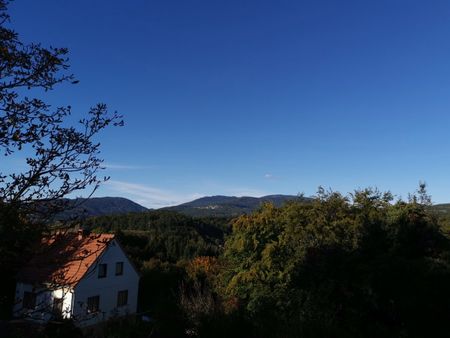 möblierte Wohnung am Rosenberg | 2 Zimmerwohnung | 6 Monate befristet | ab Juli 2025 - Foto 3