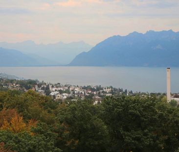 1 Zimmer, 30 m² - Foto 2