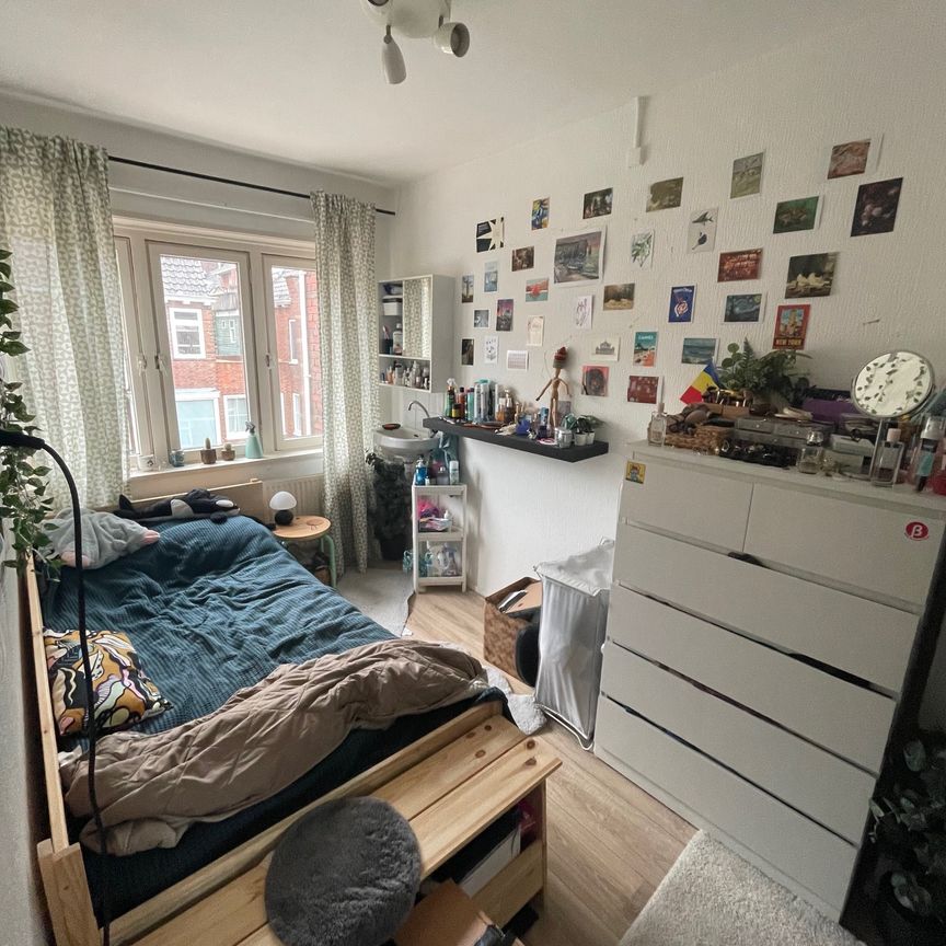 Van der Doesstraat, Zeeheldenbuurt, Zuid, Groningen, Nederland, 9726 GX, Nederland - Foto 1