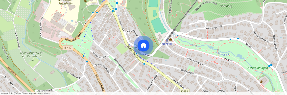 Bürgelstr. 13, 65193 Hessen - Wiesbaden