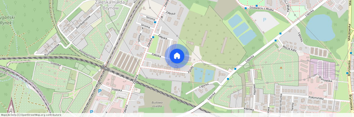 ul. Załęska, Załęska Hałda-Brynów, Katowice, śląskie