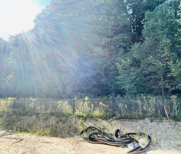 For Lease - 942 Robert Ferrie Drive, Kitchener, Ontario - Photo 5