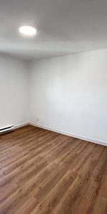2 CH - 1 SDB - Montreal - $1,095 /mo - Photo 3
