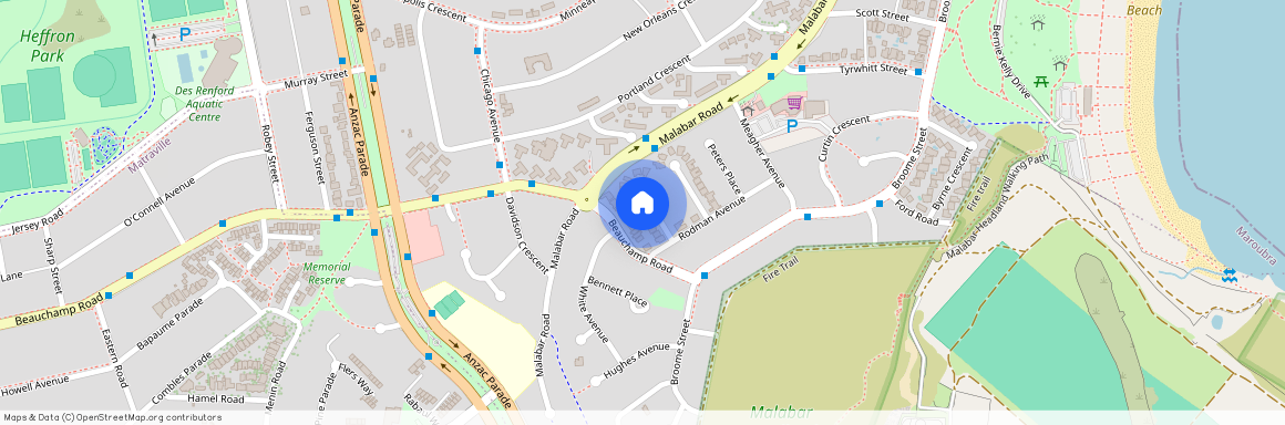 16 Hargraves Place, NSW 2035, Maroubra