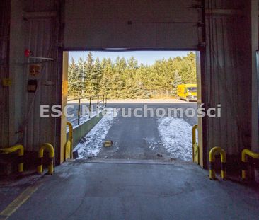 Piła, Zamość - Фото 5