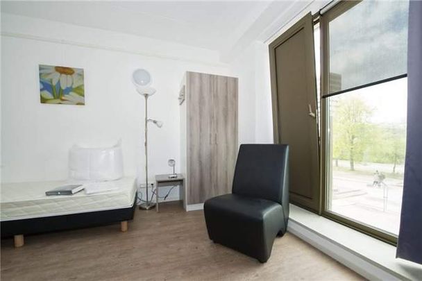 Studio Meublée De Lismortel 42 94, Eindhoven - À Louer - Photo 1