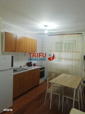 Apartament 2 camere de inchiriat zona Cetate - Fotografie 4