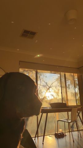 Scarborough - Photo 2