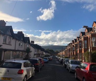 39 Ulsterville Gardens, Lisburn Road, Belfast, BT9 7BA - Photo 5