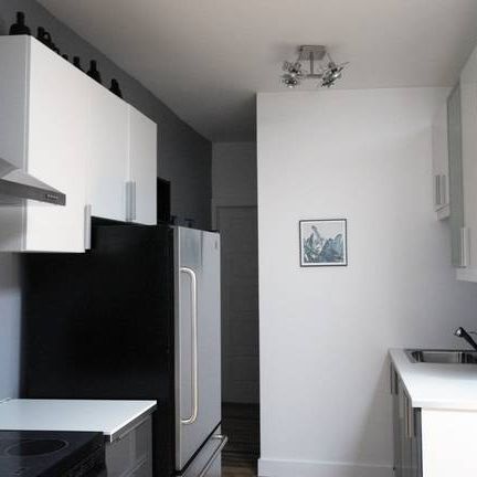 3 Bedroom with window,15 min to McGill,Renovated, Furnished - Photo 1