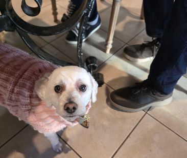 3-bedroom shared house / townhouse, Warwick Street - Photo 1