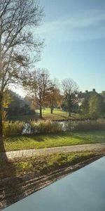 Roerdomplaan - Foto 3