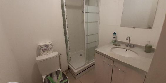 Location Appartement 1 pièce 22m² STE CLOTILDE 97490 - Photo 3